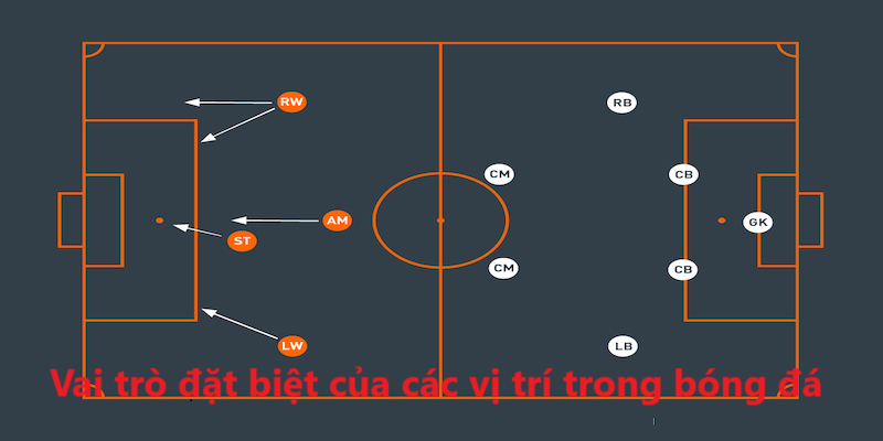 Vai trò đặc biệt của các vị trí trong bóng đá sân 11 người